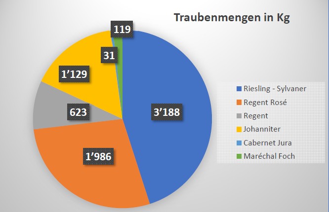 Grafik-Traubenmenge-25